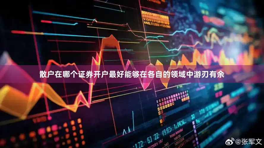散户在哪个证券开户最好能够在各自的领域中游刃有余