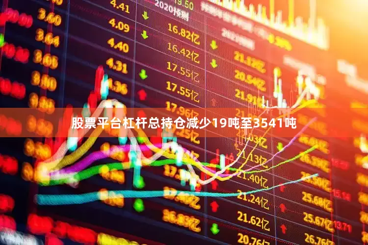 股票平台杠杆总持仓减少19吨至3541吨