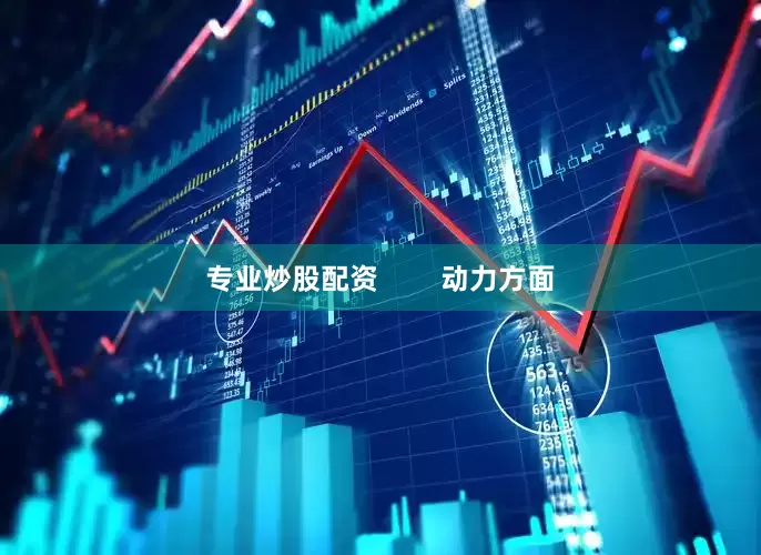 专业炒股配资        动力方面
