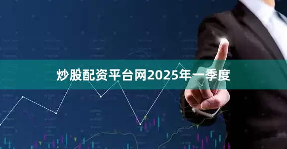炒股配资平台网　　2025年一季度