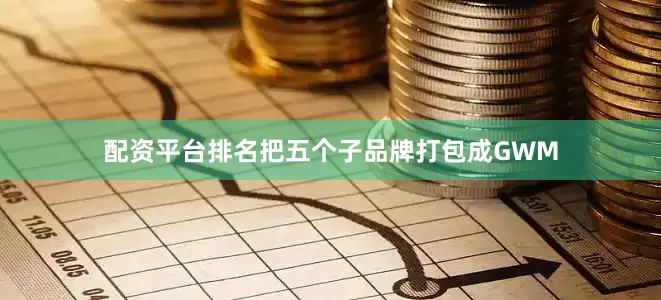 配资平台排名把五个子品牌打包成GWM