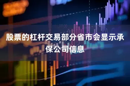 股票的杠杆交易部分省市会显示承保公司信息